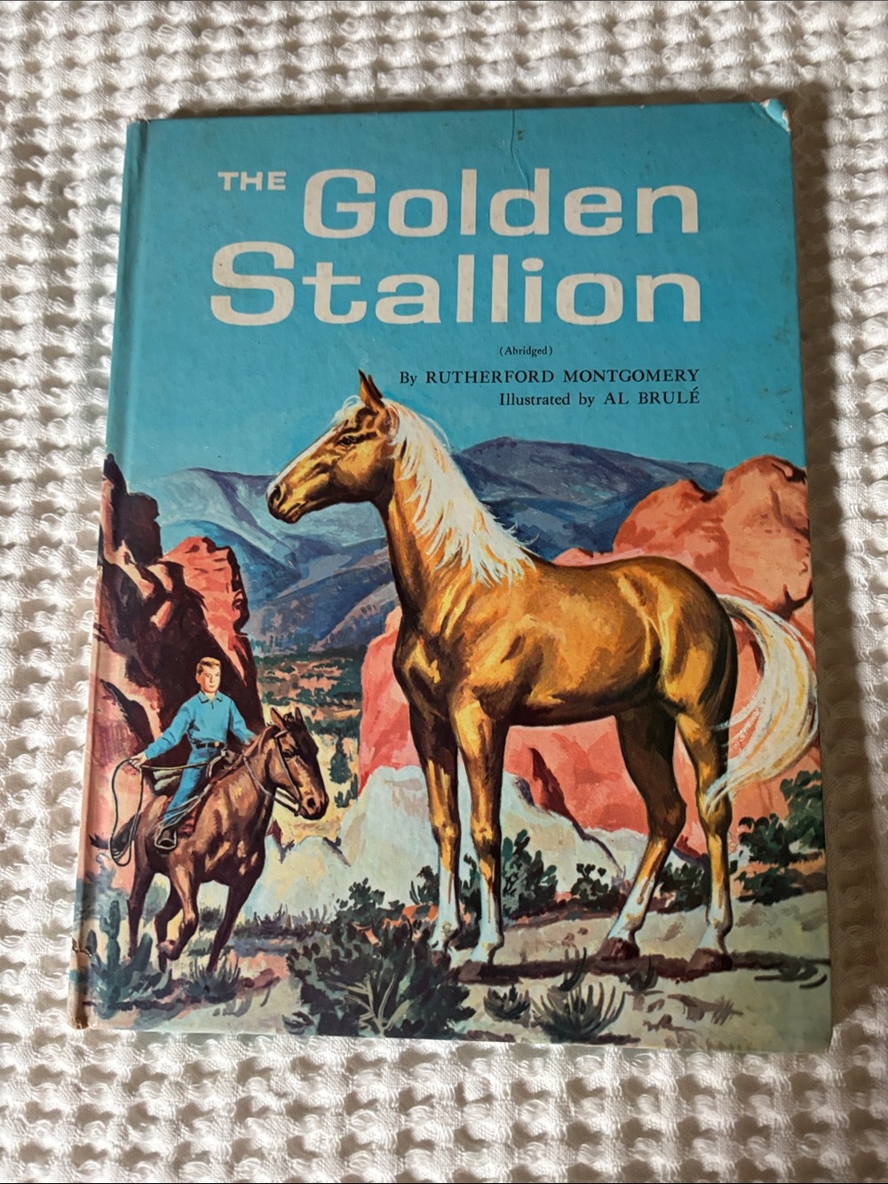 The Golden Stallion Illustrated Hardcover